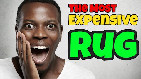 The Most Expensive Rug On Amazon | Click Link In Description