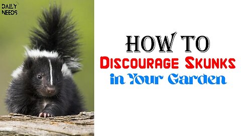 How to Discourage Skunks in Your Garden | 8 Steps to Discourage Skunks in Your Garden - Daily Needs