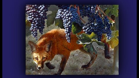 Lukewarm...Little Foxes Spoil the Vine