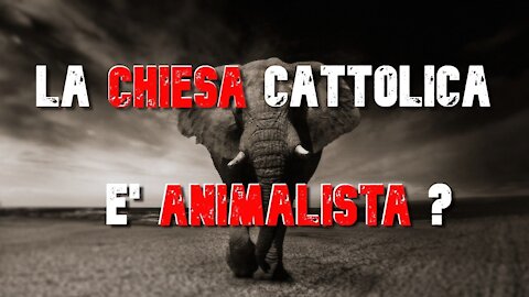 CHIESA CATTOLICA VS ANIMALISTI