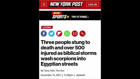 Biblical Flood Washes Deadly Snakes And Scorpions Into Homes Paranormal News