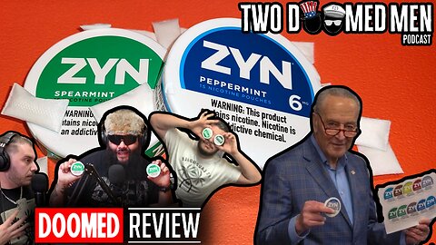 Zyn Review