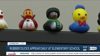 Rubber ducks appear daily at elementary school