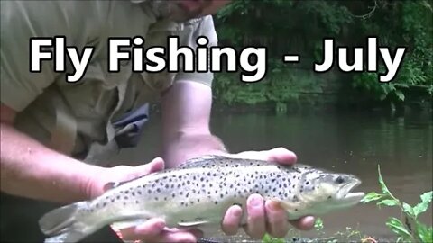 UK Dry Fly Fishing - Early July