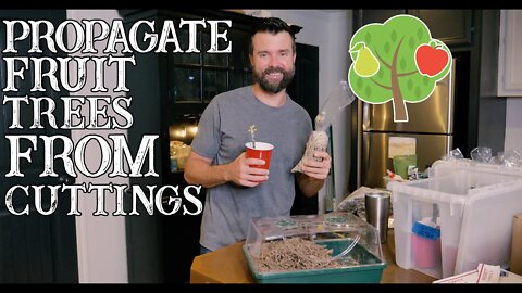 Propagate Fruit Trees from Cuttings