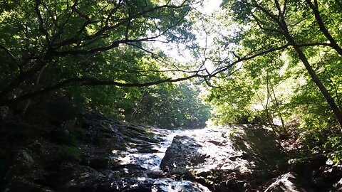 A waterfall with clear water flowing and wind blowing.