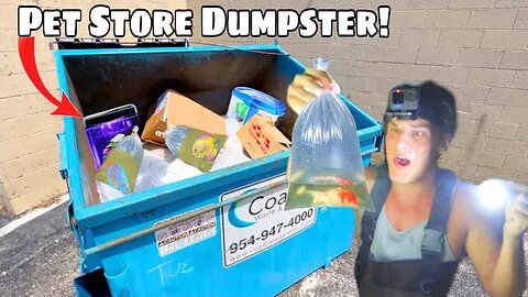 I Found PET STORE DUMPSTER Filled With AQUARIUM FISH!