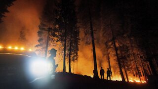 Climate Change Is Driving A Fierce 2021 Wildfire Season