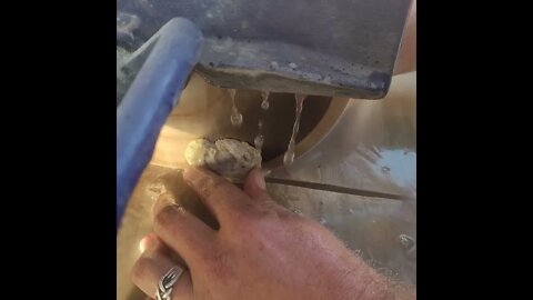 Opening a geode on the rock saw.