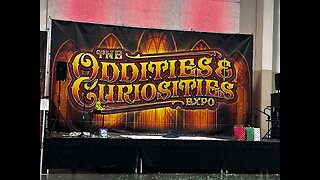 Oddities and Curiosities Expo Haul