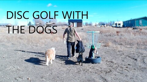 Disc Golf With The Dogs