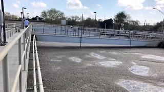 St. Pete sewage system upgrades | Digital Short