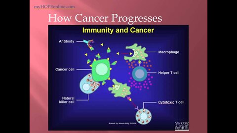 Cancer Class 2 DIET - Dr. Kevin Conners