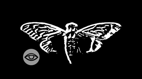 Cicada 3301: The Internet's Most Secret Organization?