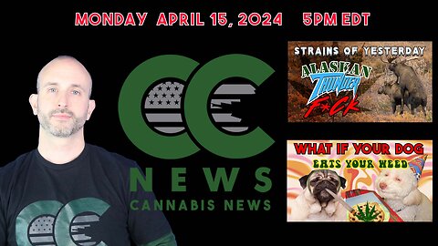Cannabis News Update - "Strains of Yesterday: Alaskan Thunder F&*K" and "Dogs Eating Weed?"