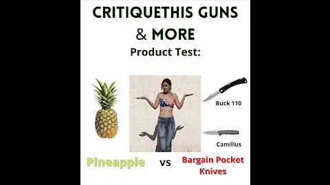 Knives vs Pineapple : An Unserious Product Review
