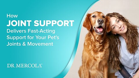 How JOINT SUPPORT Delivers Fast-Acting Support for Your Pet's Joints & Movement