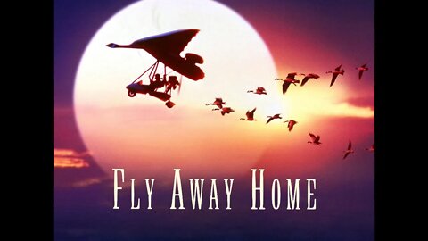 Friday Night Date Movie: Fly Away Home