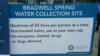 SOUTH AFRICA - Cape Town - Bradwell Spring Opening (Video) (dzx)
