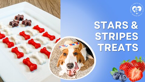 Stars & Stripes Frozen Dog Treats