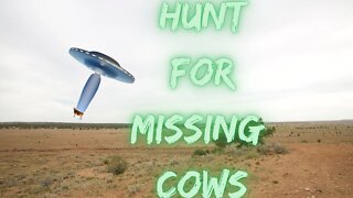 Missing Cows?