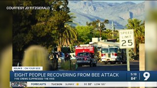 'We're doing alright': Bee incident near La Cañada and River leaves 8 injured, 2 hospitalized