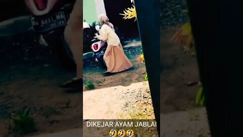 dikejar ayam jantan || ayam kesurupan - possessed chicken #shorts #chicken #funnycat #ayamjagohutan