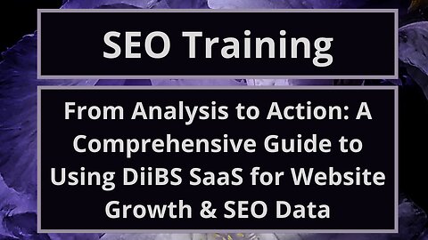 From Analysis to Action: A Comprehensive Guide to Using DiiBS SaaS for Website Growth & SEO Data