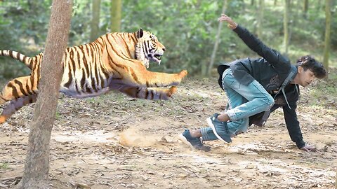 Tiger Attack Man in Forest - Fun Made Movie by Wild Fighter