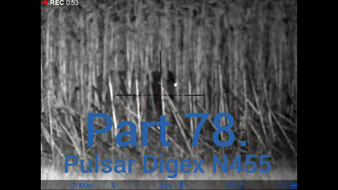 Part 78. Wildboar hunting with Pulsar Digex n455