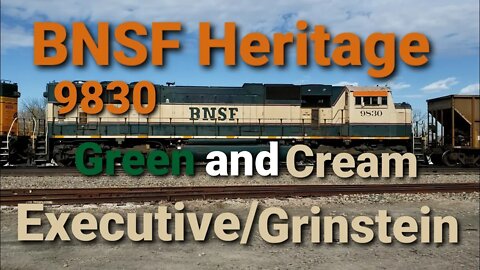 Executive / Grinstein Springfield yard part 3 of 4 BNSF 9830