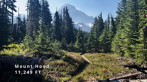 Ascending Mazama Trail with GORGEOUS ALPINE FOREST MOUNT HOOD VIEWS! | Timberline Loop | 4K | Oregon