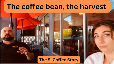 The coffee bean, the harvest, the Si Coffee Story from Nicaragua to Canada