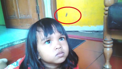 Kids Furious at Spider