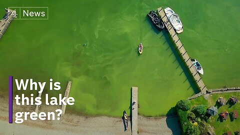 Lake Windermere - why swimmer health could be at risk in World Heritage waters