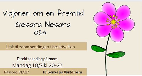 2023-07-10 Visjon om en Fremtid Gesara Nesara - Q&A