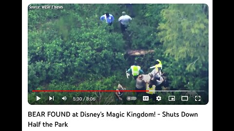 FRIDAY FUNNY - A BEAR THOUGHT DISNEY WORLD WAS YELLOWSTONE & SHUT DOWN HALF THE PARK