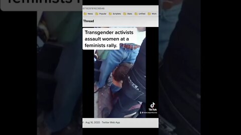Transgender activists assault women at a feminist rally #short