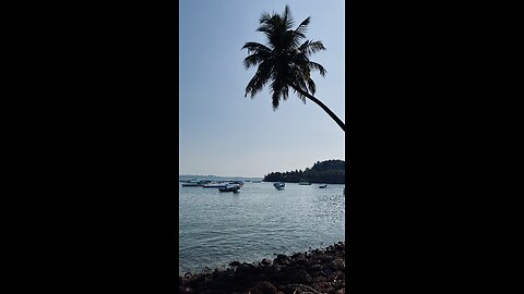 Goa 🌚