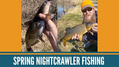 Spring Nightcrawler Fishing For Carp, Catfish And Panfish / Michigan Fishing