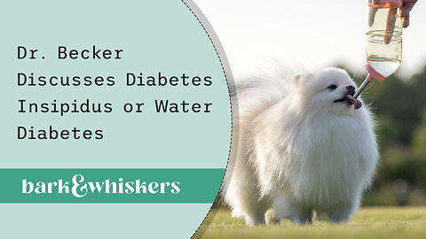 Dr. Becker Discusses Diabetes Insipidus or Water Diabetes