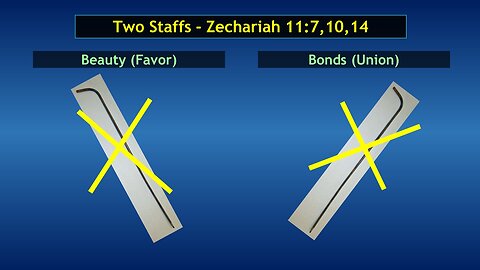 Video Bible Study: Zechariah - #16
