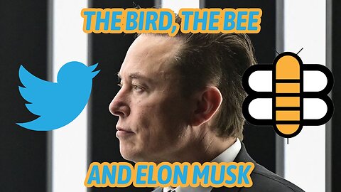 The Bird, The Bee & Elon Musk