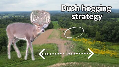 Improve your deer hunting odds with Bush Hogging strategy-KIOTI RX7320 bush hogging
