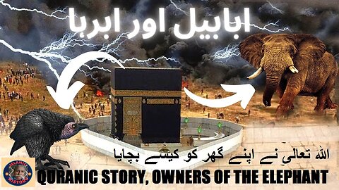 Owners Of The Elephant | اللہ تعالی نے اپنے گھر کو کیسے بچایا | @islamichistory813