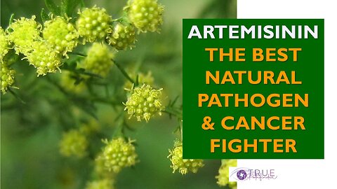 THE BEST NATURAL PATHOGEN & CANCER FIGHTER | True Pathfinder