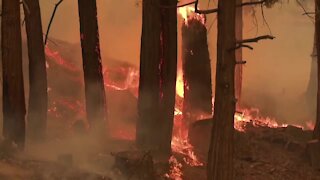 Why fire officials say it takes months to put out wildfires