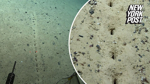 Mysterious holes discovered on ocean floor puzzle experts, spawn aliens theory