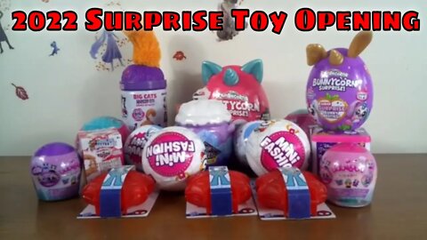 New 2022 Surprise Toy Opening