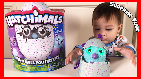 1 Year Old plays with Hatchimals